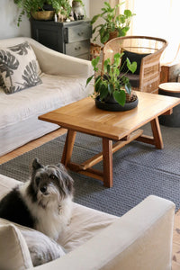 Carpets 150 x 240cm and 200 x 300cm